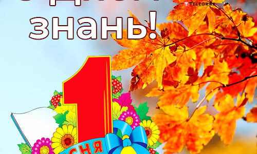 День знань День знань